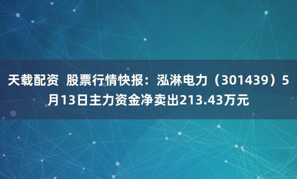天载配资  股票行情快报：泓淋电力（301439）5月13日主力资金净卖出213.43万元